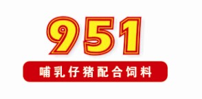 951ĸi